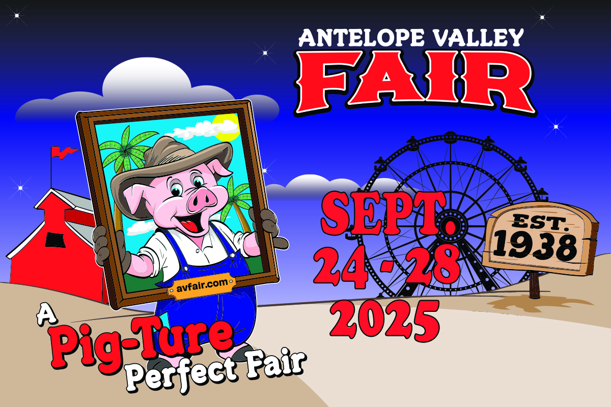 AV Fair Carousel