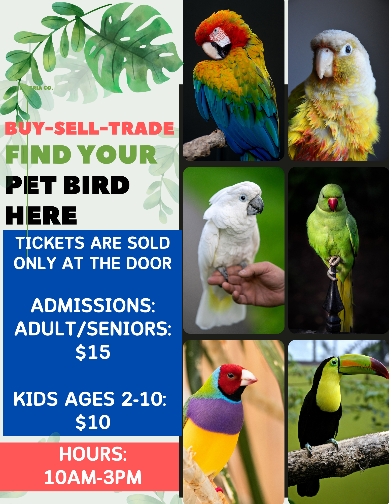 Exotic Bird Show