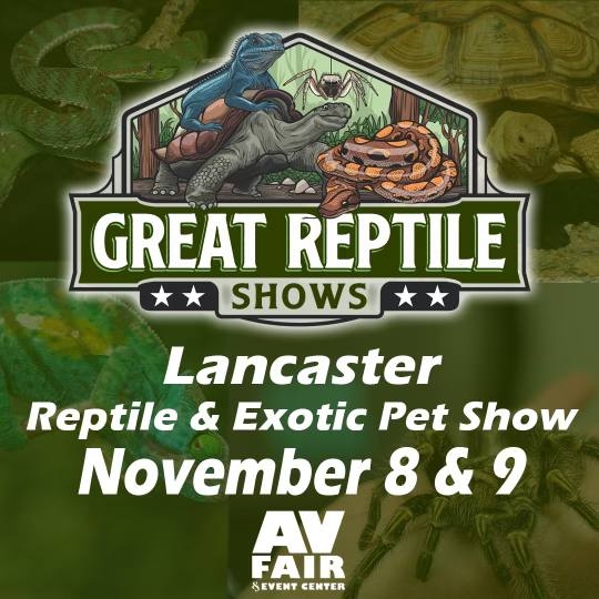 Reptile Show