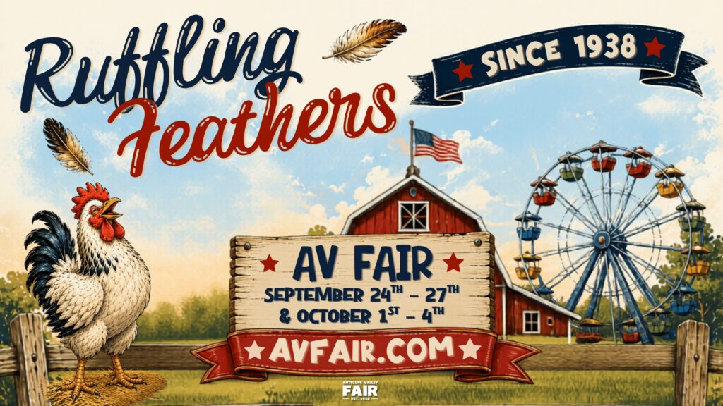 Ruffling Feathers at AV Fair
