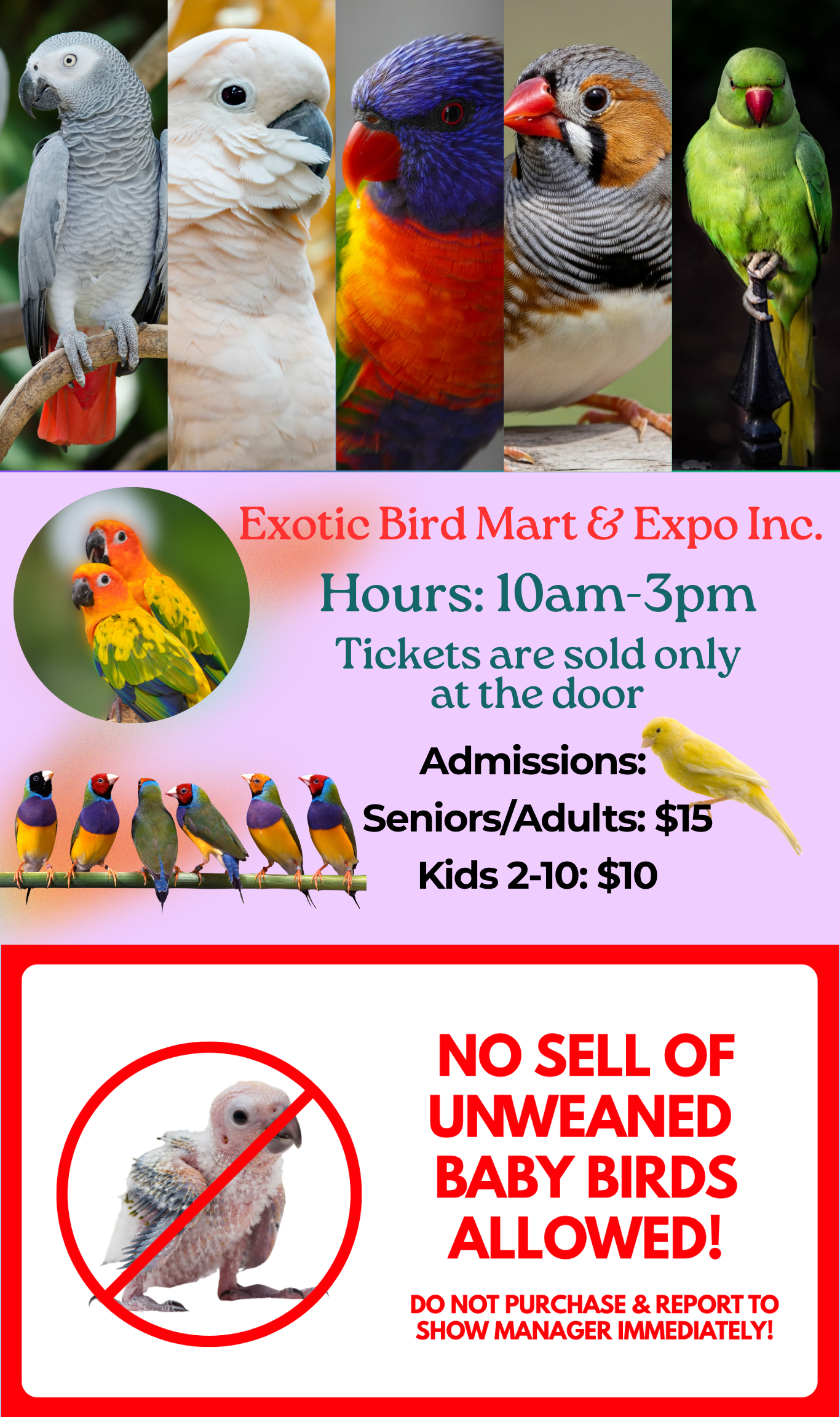BIRD SHOW!